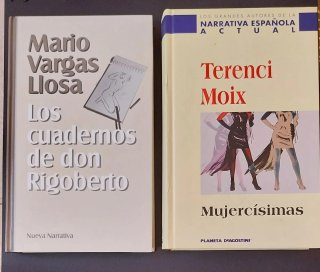 Los grandes autores de la Narrativa española