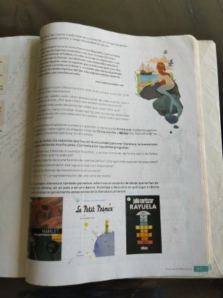 Lengua castellana y literatura