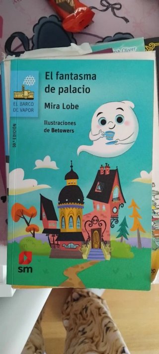 Libros infantiles tanto en ingles como castellano.