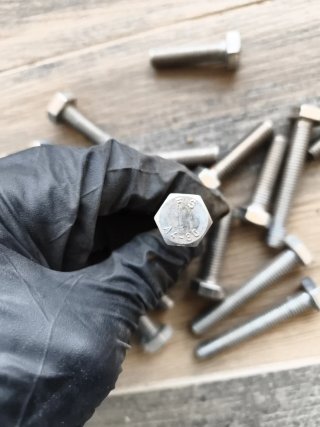 Lote tornillos inox M10