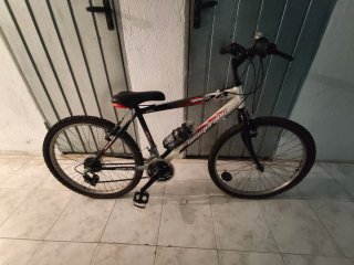 Bicicleta infantil 24