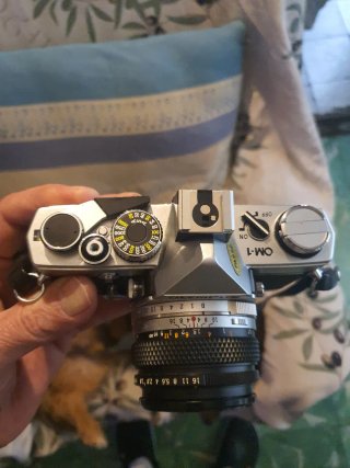 Olympus OM-1 Cámara Analógica Plata/Negra