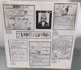Vinilo Nina Hagen-Nun Sex Monk Rock-1982 CBS 32479