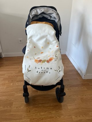 Silla de paseo Mast M2