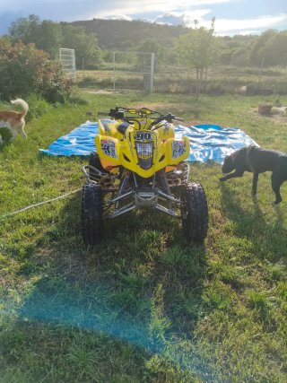 suzuki ltz 400