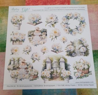 Papers Scrapbooking