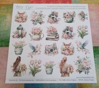 Papers Scrapbooking