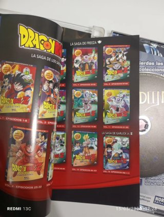 Película Anime Reideen DVD (Español)