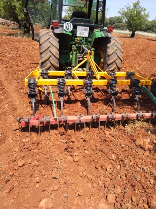 Horas de tractor frutero 90cv cultivador noli 11.