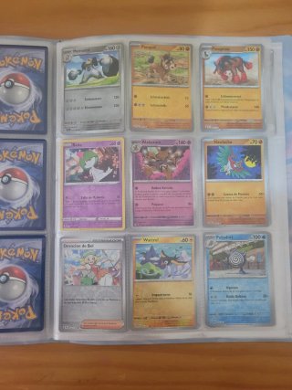 Lote de cartas pokemon