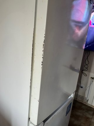 Nevera Indesit ( funciona perfectamente)