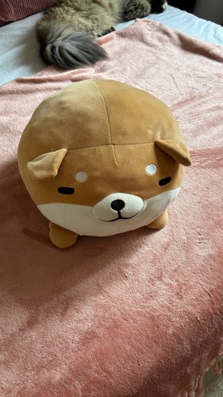 Peluche perro redondo