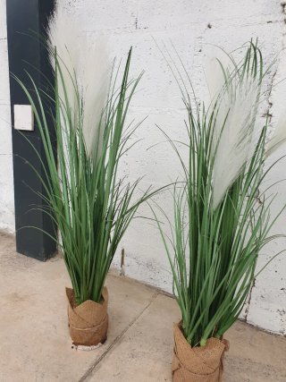Pareja Plantas Plumas Artificiales