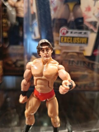 William Regal figura WWE