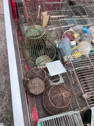 Jaulas para pájaros