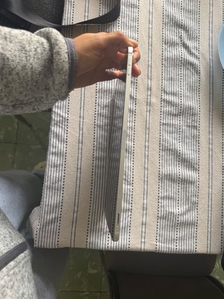 iPad Pro 1ª Gen Plata para piezas