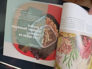 ¿Las algas se comen? : un periplo por la biolog...