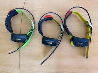 Collar Garmin T5