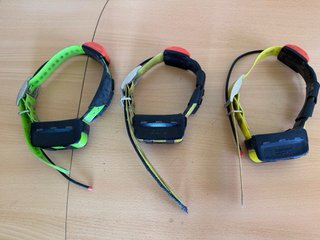 Collar Garmin T5