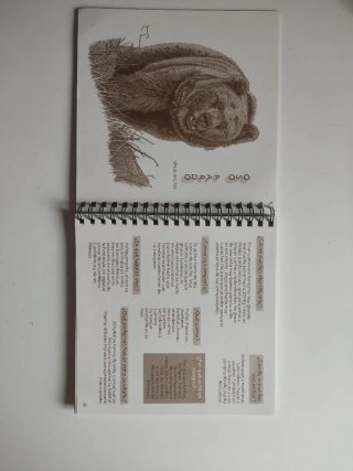 Cuaderno de campo. Faunia ibérica emblemática.