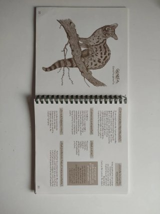 Cuaderno de campo. Faunia ibérica emblemática.
