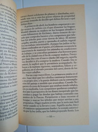 El rabino, novela de Noah Gordon