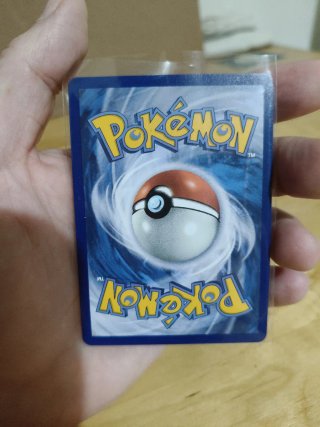 Pack Cartas Pokémon Mega Diancie, Absol, Gardevoir