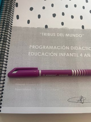 5 programaciones aprobadas Infantil Canarias