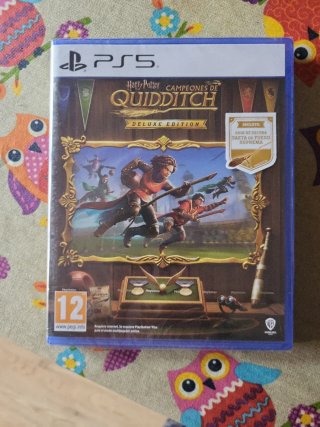 Harry Potter Campioni di Quidditch PS5 Deluxe