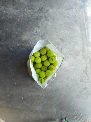 Lote de Pelotas de Tenis
