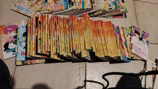Collezione completa fumetto Ranma 1/2
