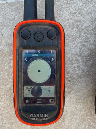 Garmin Alpha 100