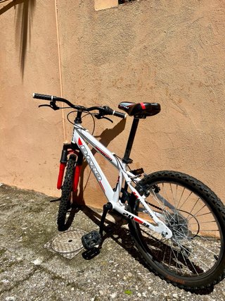 Bicicleta B-Pro 20 Infantil
