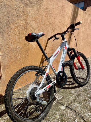 Bicicleta B-Pro 20 Infantil