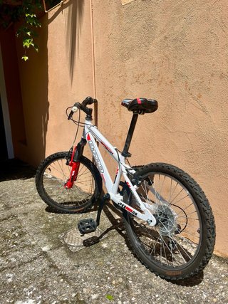Bicicleta B-Pro 20 Infantil