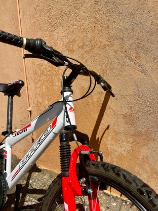 Bicicleta B-Pro 20 Infantil