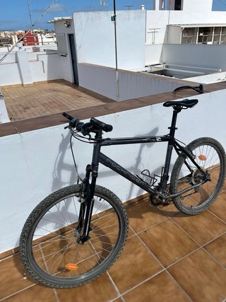 Bicicleta rosa Cinzia paseo