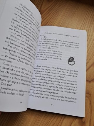 Inspetor Max :O rapto da Inglesa