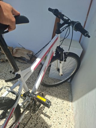 Mountain bike 24 pollici