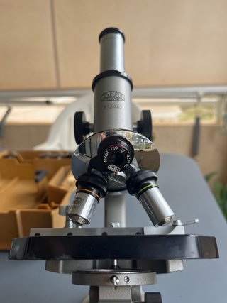 Microscopio Olympus con campo oscuro