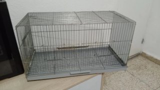 Jaulas para pajaros