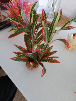 Plantas artificiales para acuario