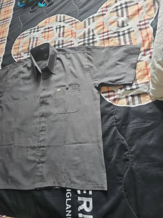 Camicia Lacoste Uomo Grigia Taglia L