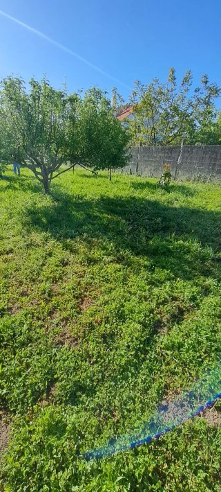 Jardinero