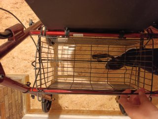 Andador con cesta y frenos
