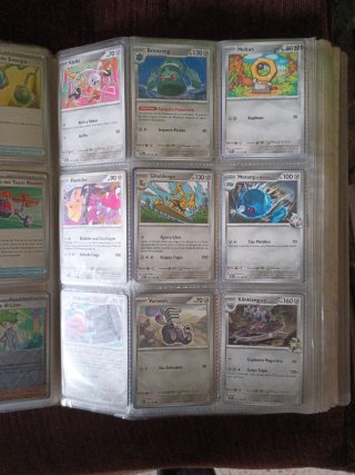 Cartas Pokémon entrenador