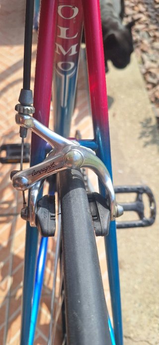 Bici da corsa Olmo d'epoca