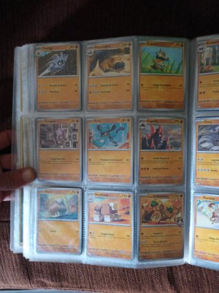 Cartas Pokémon