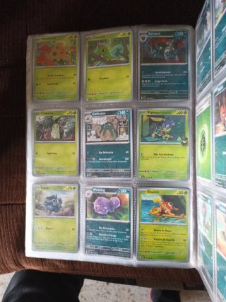 Cartas Pokémon