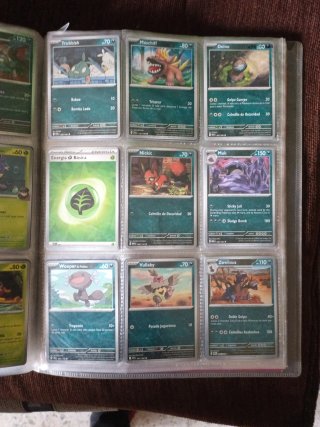 Cartas Pokémon